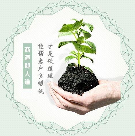 蔬菜種子經(jīng)營(yíng)，商道即人道