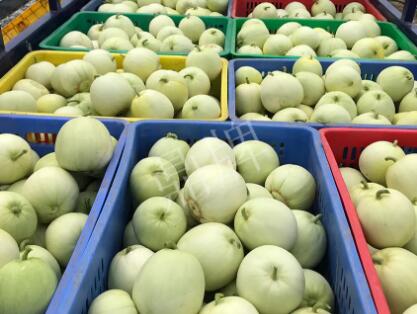 蔬菜種子種植戶客戶點評-5元1斤，這個新品種真香甜！