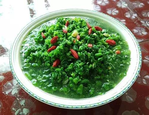 菜農種植無需噴農藥的蔬菜，不僅栽培簡單、而且效益高