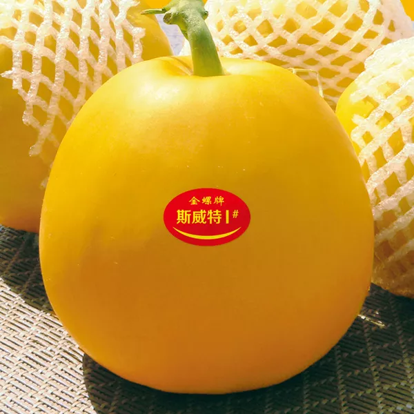 薄皮甜瓜，哪個品種最好呢？畝產(chǎn)高達(dá)10萬，附4種市場爆款品種