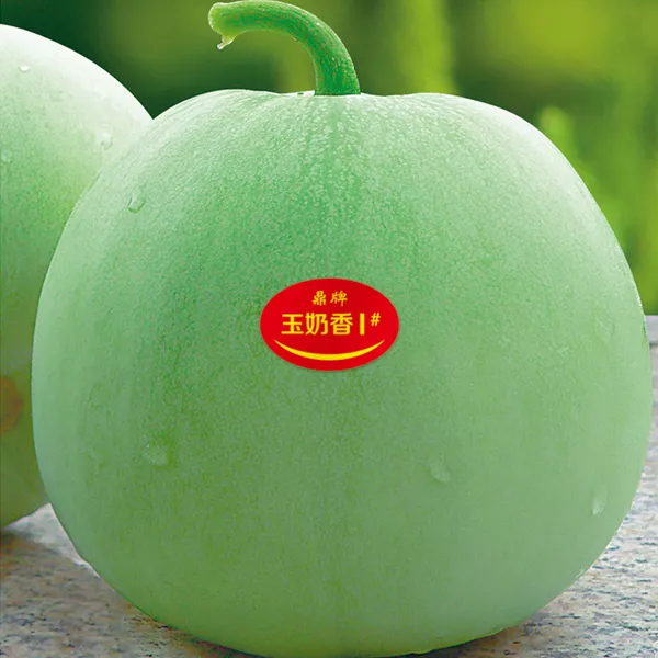薄皮甜瓜，哪個品種最好呢？畝產(chǎn)高達(dá)10萬，附4種市場爆款品種
