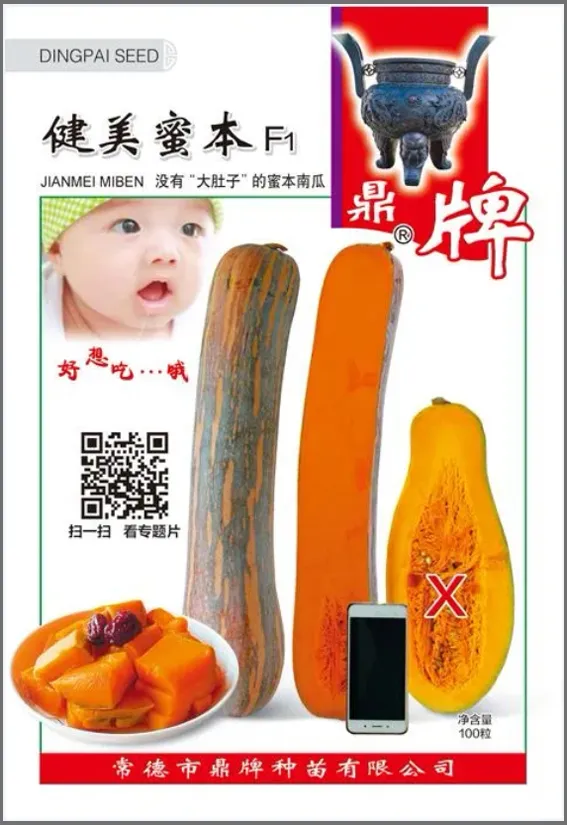 3元1斤的健美蜜本南瓜快成熟了，緬甸種植戶發(fā)來圖片與視頻