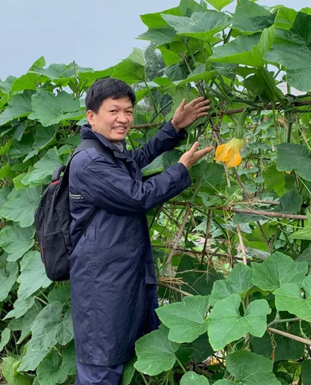 3元1斤的健美蜜本南瓜快成熟了，緬甸種植戶發(fā)來圖片與視頻