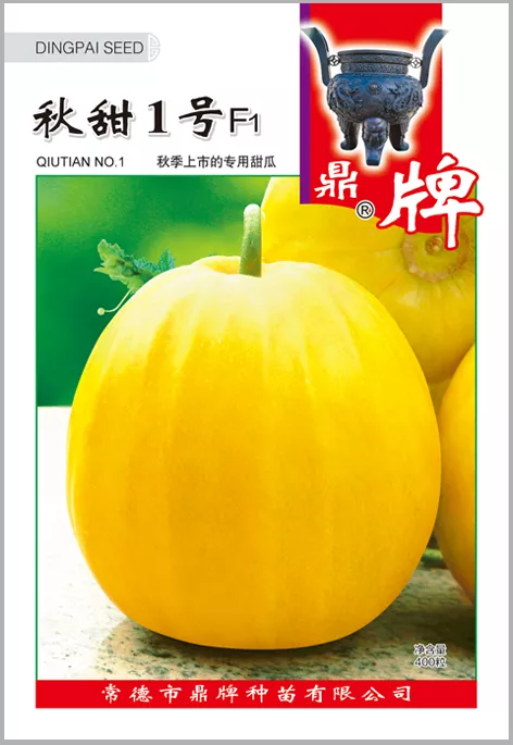 高溫季節(jié)種植甜瓜，什么品種最好？這個(gè)品種是秋季上市的專(zhuān)用品種