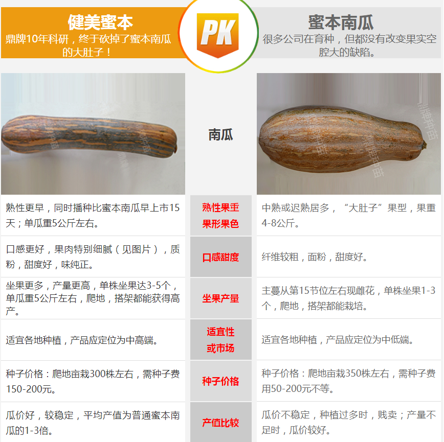 生吃都好吃南瓜新品種，沒有大肚子，肉質(zhì)更密致，農(nóng)戶試種下