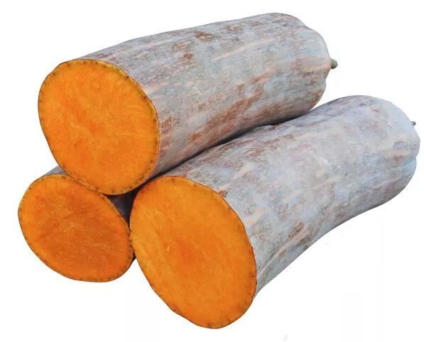 生吃都好吃南瓜新品種，沒有大肚子，肉質(zhì)更密致，農(nóng)戶試種下