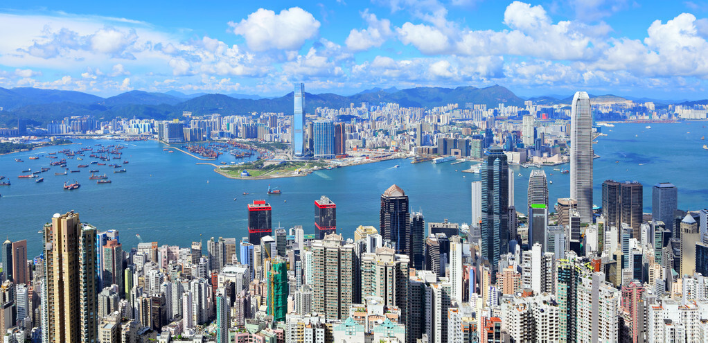 這個絲瓜畝產(chǎn)可達8000公斤，菜農(nóng)2021年致富的絲瓜品種