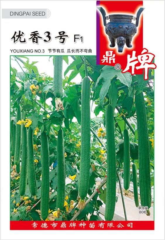 它是絲瓜種植戶的新選擇，節(jié)節(jié)有瓜，瓜長而不彎曲