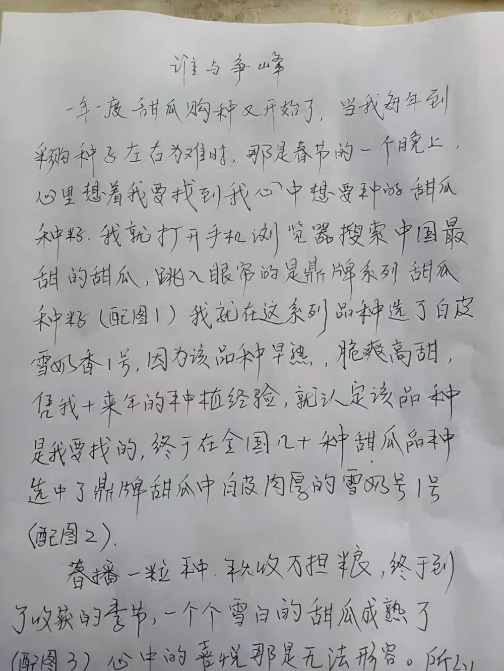 河南焦作的李向林今年種植甜瓜新品種，客戶直接拉貨走人