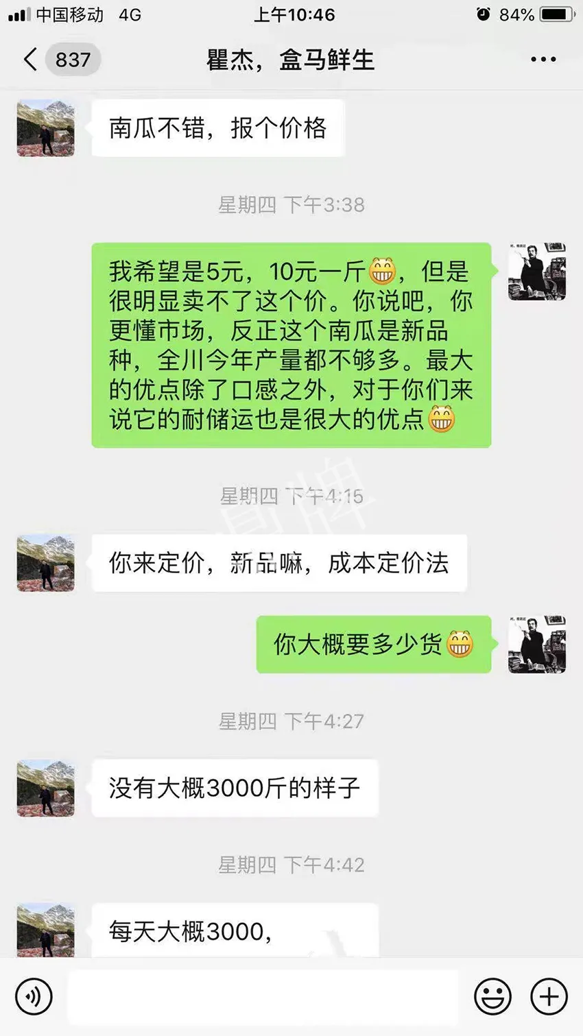 四川農(nóng)戶今年種“健美蜜本”南瓜產(chǎn)量高，品質(zhì)好，感覺巴適得很