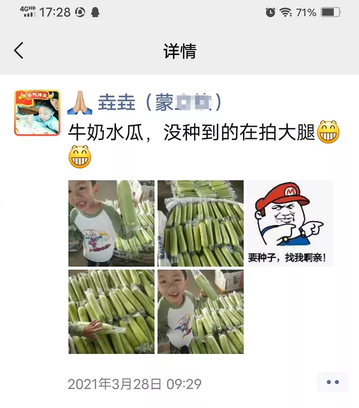 這個絲瓜每畝能掙3萬，沒種植的農(nóng)戶后悔得拍大腿